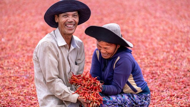 הדרך לאושר תבלינים כלים. תמונה 2
