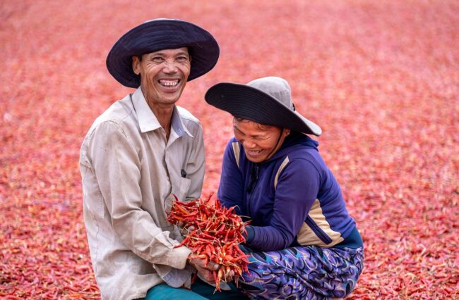 הדרך לאושר תבלינים כלים. תמונה 2