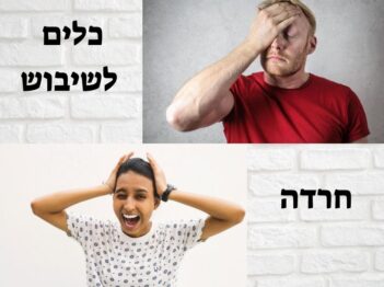 כלים לשיבוש חרדה